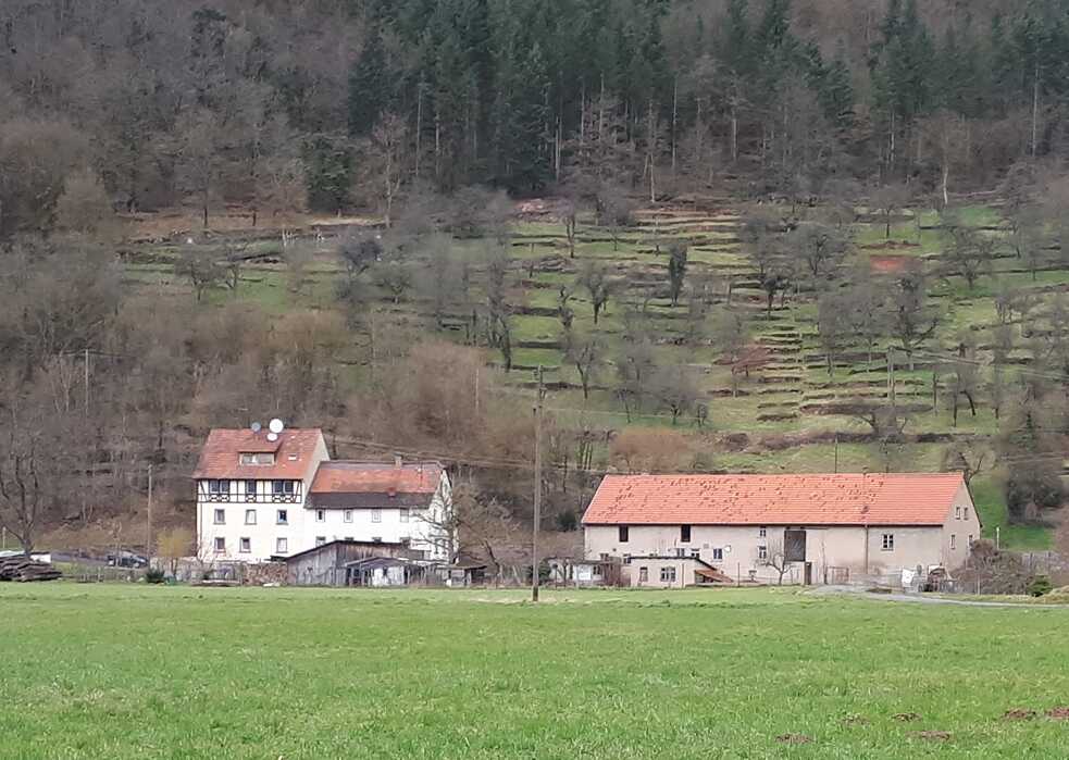En el valle del Tauber está la granja de muestra más grande de Jonas Gampe y su equipo.