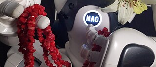 Nao Bot Guru