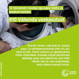 Infopostitus: pesumasin