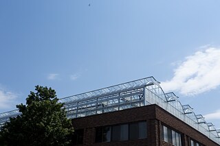 El primer invernadero de Lufa, en el distrito de Ahuntsic.