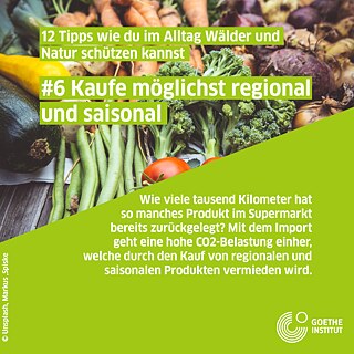 Infopost saisonal einkaufen, verschiedenes Gemüse