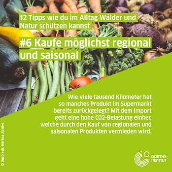 Infopost saisonal einkaufen, verschiedenes Gemüse
