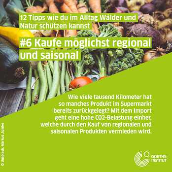 Infopost saisonal einkaufen, verschiedenes Gemüse
