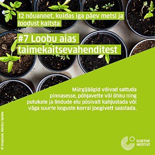 Infopostitus: Aiapidamine, taimed lillepottides