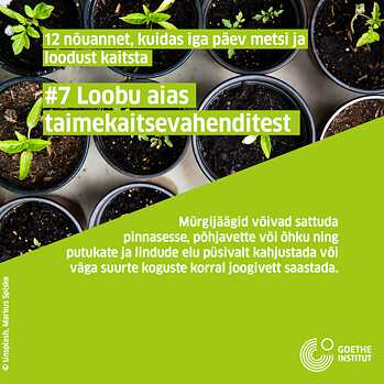 Infopostitus: Aiapidamine, taimed lillepottides