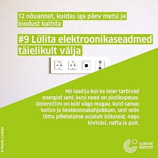 Infopostitus: Elektritarbimine, pistikupesad