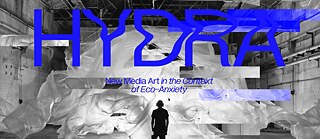 HYDRA. Neue Medienkunst im Kontext des Umweltbewusstseins