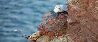 Plastic nest