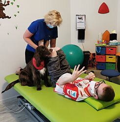 Fyzioterapeutka Marion Jager: „Naši psi zvládají maximálně dva až tři sezení denně.“