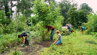 Los voluntarios trabajan los campos