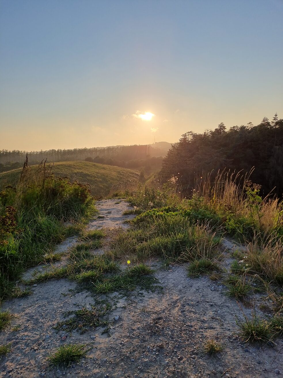 Ein Sonnenuntergang in Hjorring