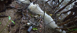 Seed grant project of Ramanathan Parilojithan 