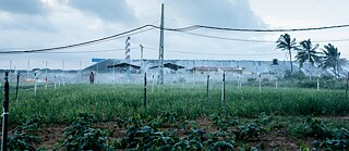 Photography Roadtrip 