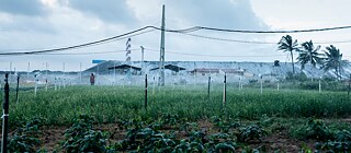 Coal Power Plant Norochcholai