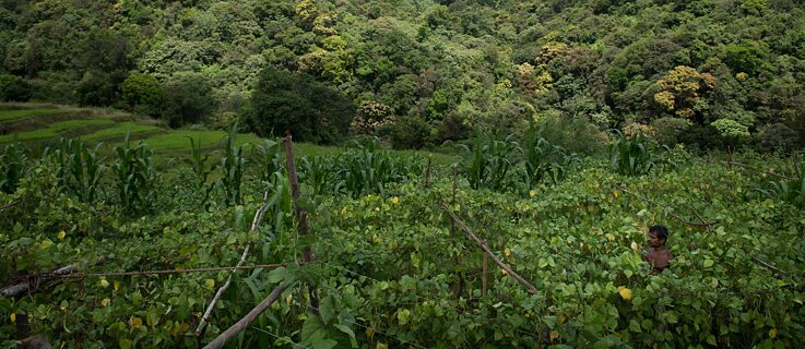 Seed grant project of Munira Mutaher and Shehan Obeysekera