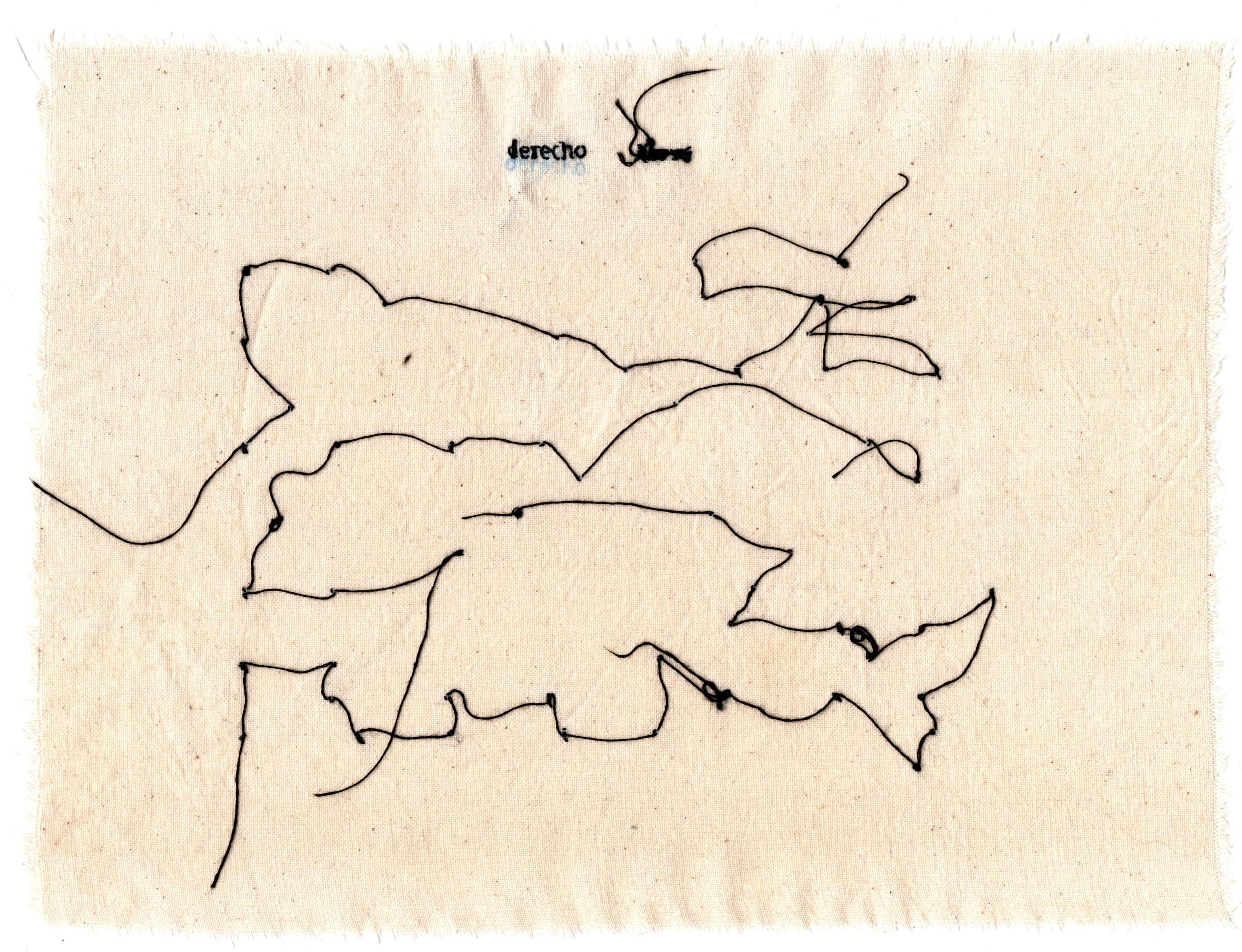 derecho
