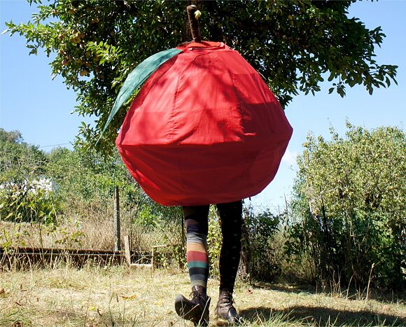 Apfelträume Eva Hahn