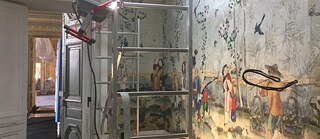 Der Doppelgänder des Originals