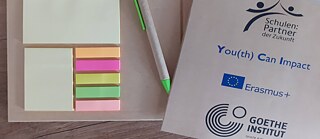 Projekt-Gadget des Goethe-Instituts