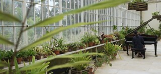 Joana Gama Botanischer Garten