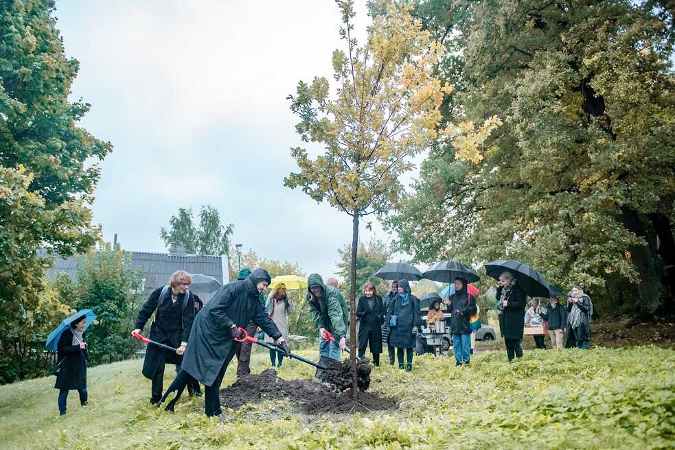 Eine Eiche für Beuys 