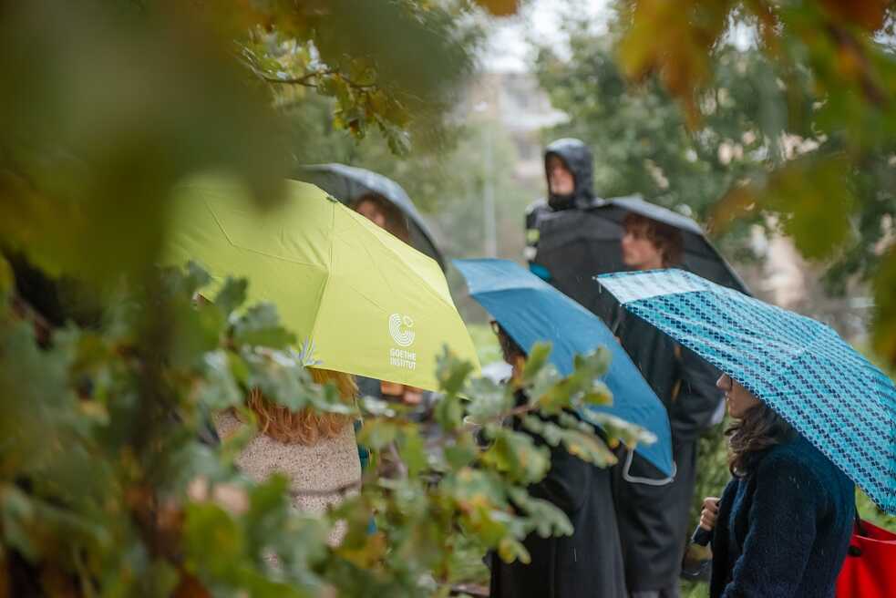 Eine Eiche für Beuys