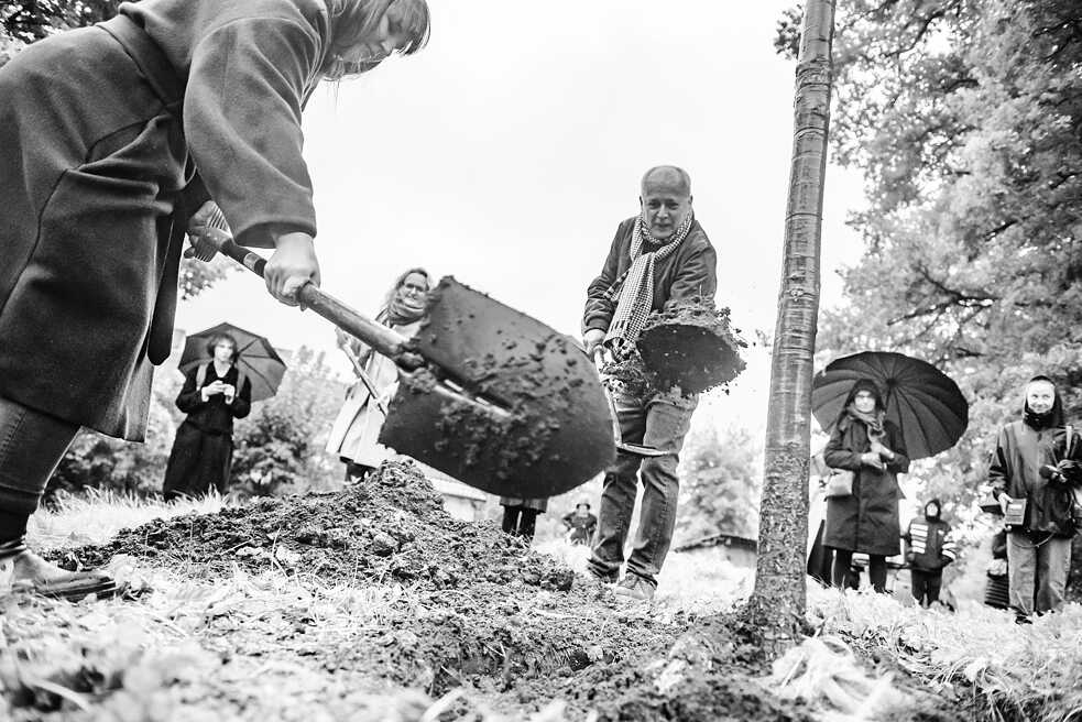 Eine Eiche für Beuys