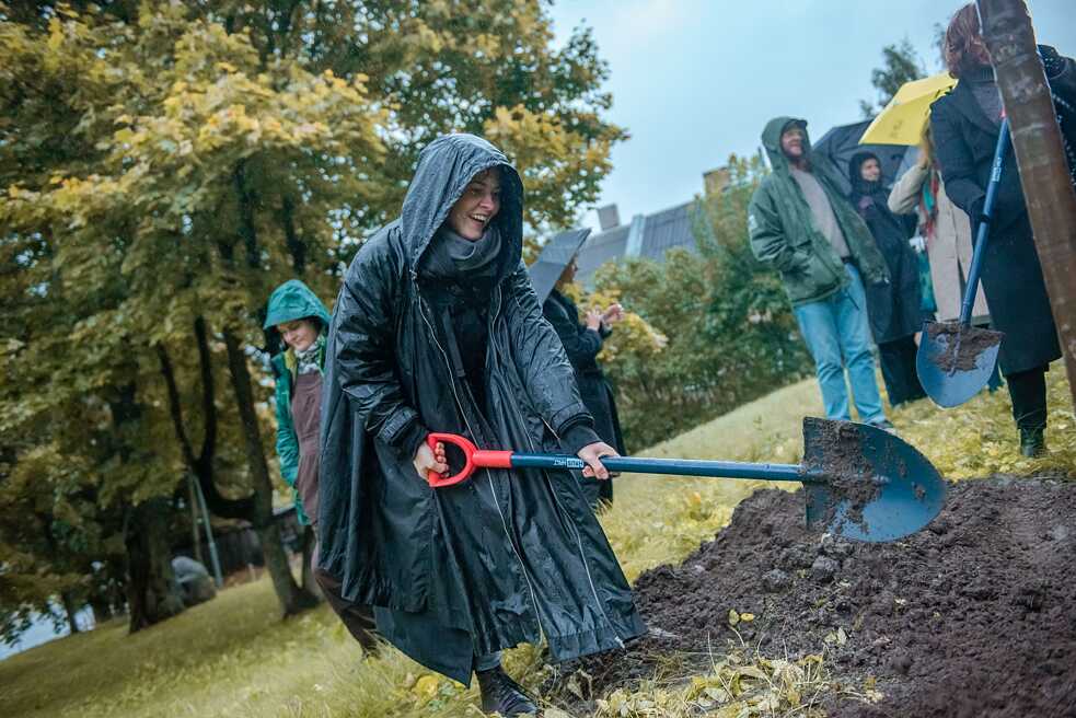 Eine Eiche für Beuys