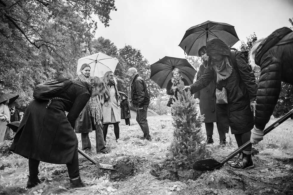 Eine Eiche für Beuys