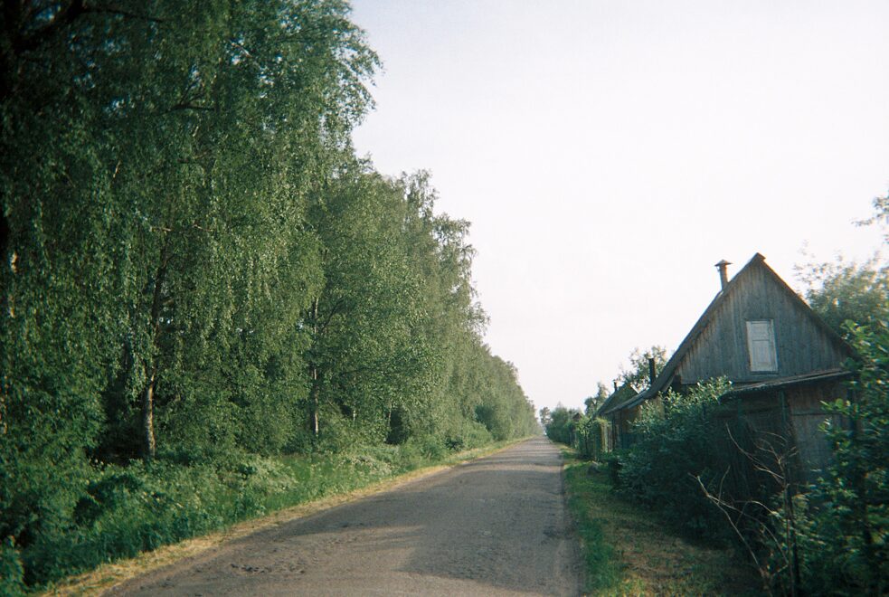 Weg zwischen Wald und Sommerhäusern 