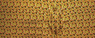 gesamtes Hintergrundmotiv ist eine bunte Palmenpflanze, Silhouette eines Menschen im Vordergrund ist umhüllt von gleichen Hintergrundmotiv