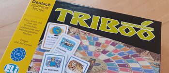 TRIBOO – Un'idea commerciale di successo