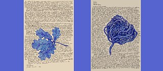 On Friendship / (Collateral Damage) IV – How to Explain Hare Hunting to a Dead German Artist [The usefulness of continuous measurement of the distance between Nostalgia and Melancholia]