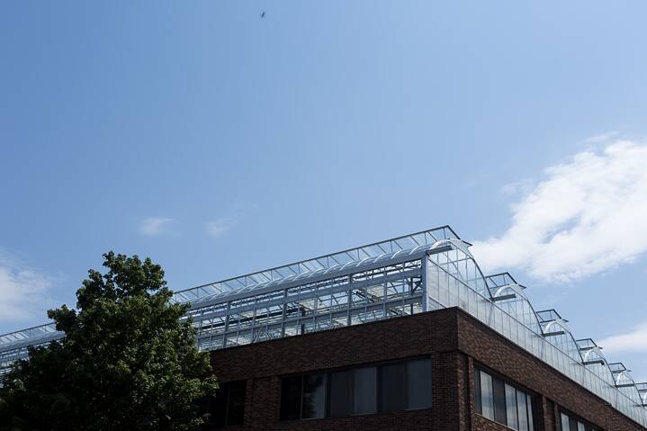 Das erste Lufa-Gewächshaus im Bezirk Ahuntsic.