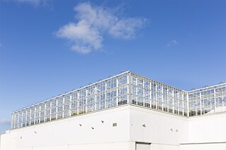 Das Dachgewächshaus im Bezirk Laval.