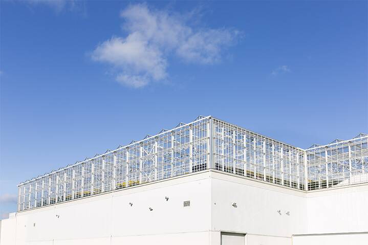 Das Dachgewächshaus im Bezirk Laval.