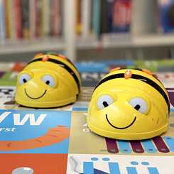 BeeBots