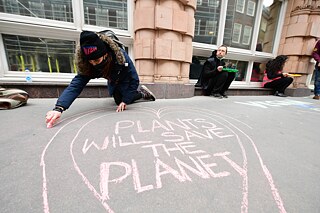 Someone draws "Plants will save the planet" on the floor with chalk.