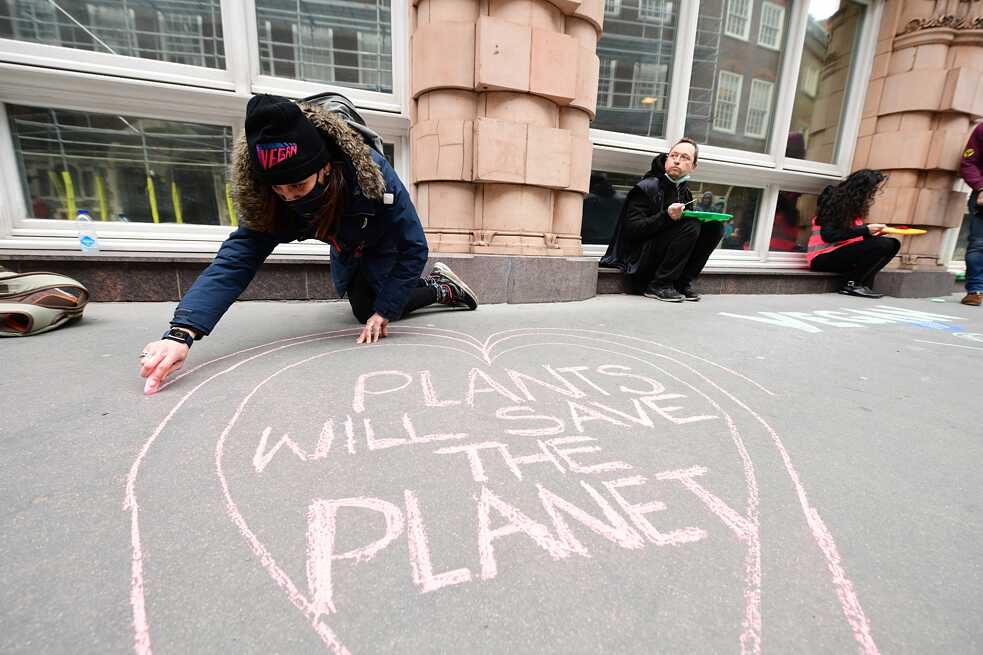 Alguien dibuja "Las plantas salvarán al planeta" con gis en el piso.
