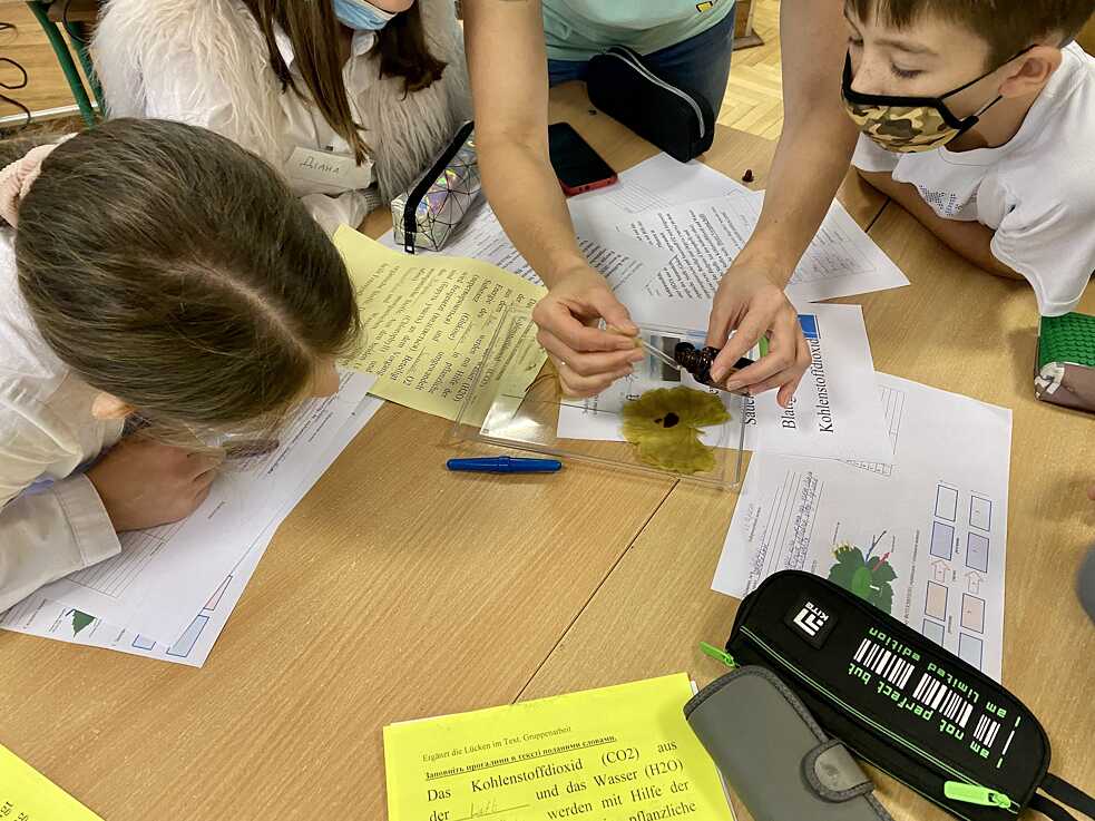 CLIL Experimente 2021