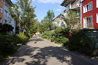 Eine Straße im Vauban 