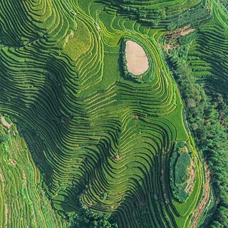 Beschreibung / Alt-Text