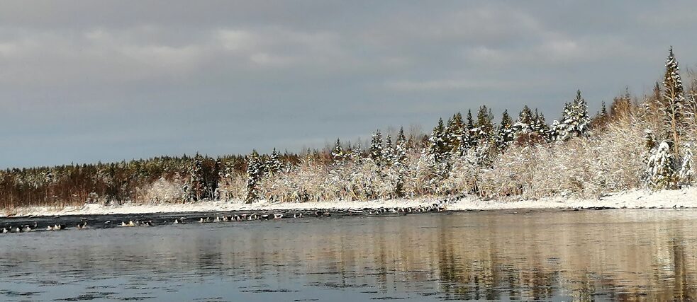 Ounasjoki river in October, when the reindeers are taken to the other side of Ounasjoki for the winter 