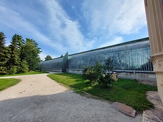 Das Palmenhaus im Parkgelände
