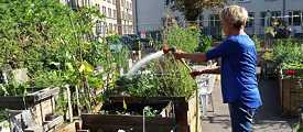 Garten PASCH