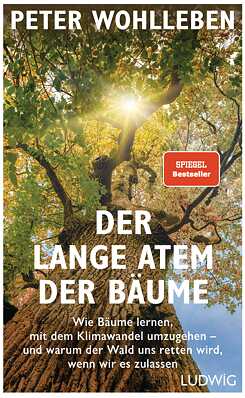 Der lange Atem der Bäume