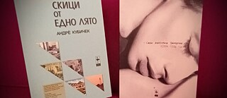 Bibliothek, Buchpräsentation