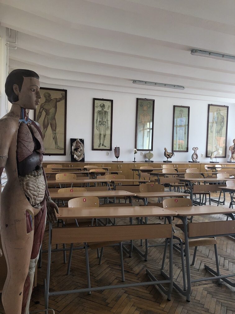 Wenn das geplante Klassenzimmer belegt ist, findet der Deutschunterricht auch mal im Biologie-Raum statt.