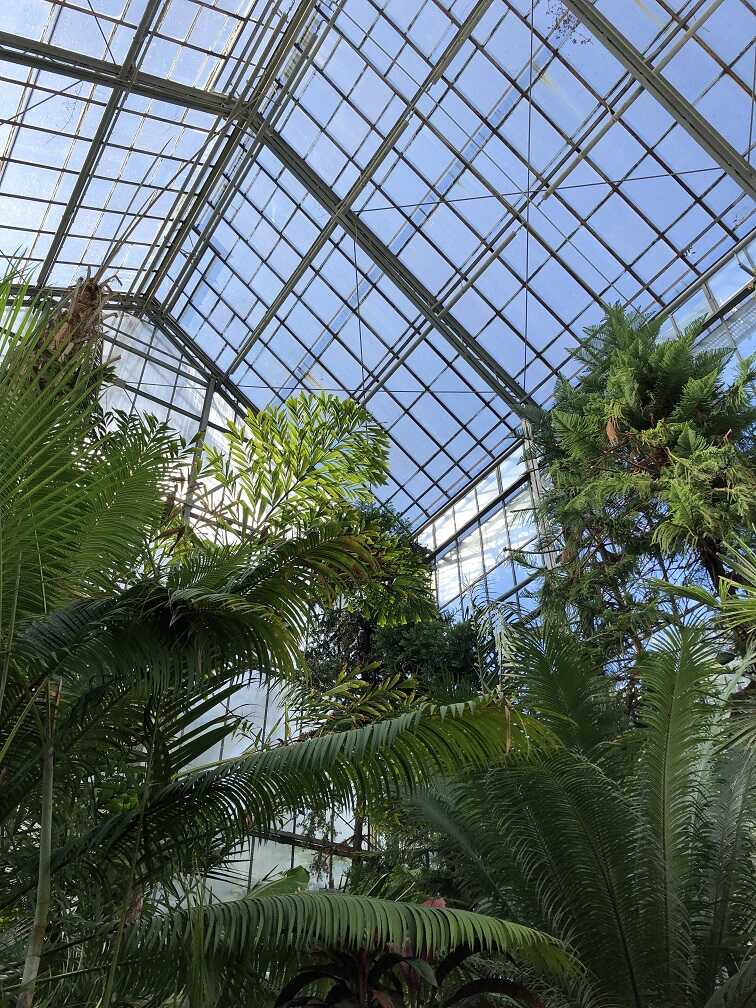 Der Botanische Garten