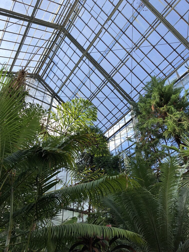 Der Botanische Garten